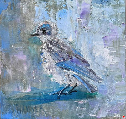 Baby Blue BIrd