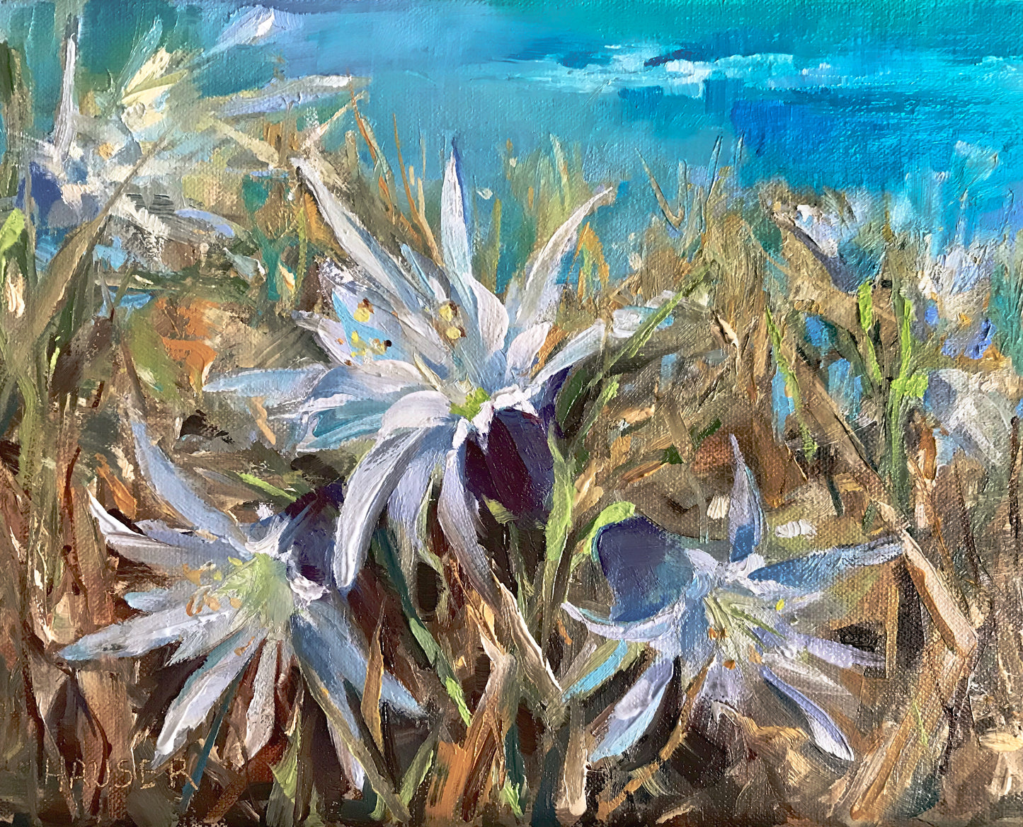 Lillies
