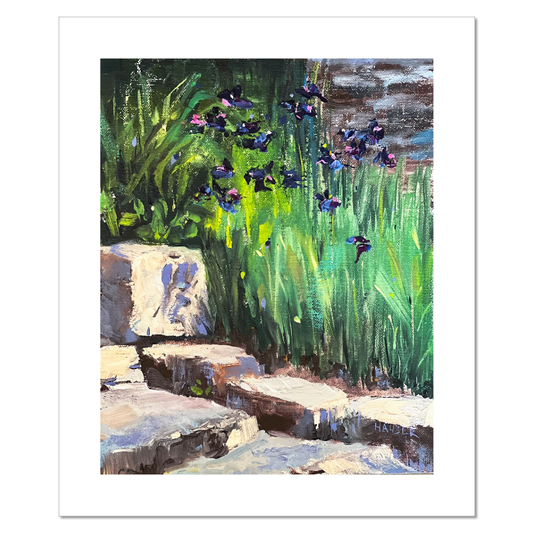 Garden Irises (Print Reproduction)