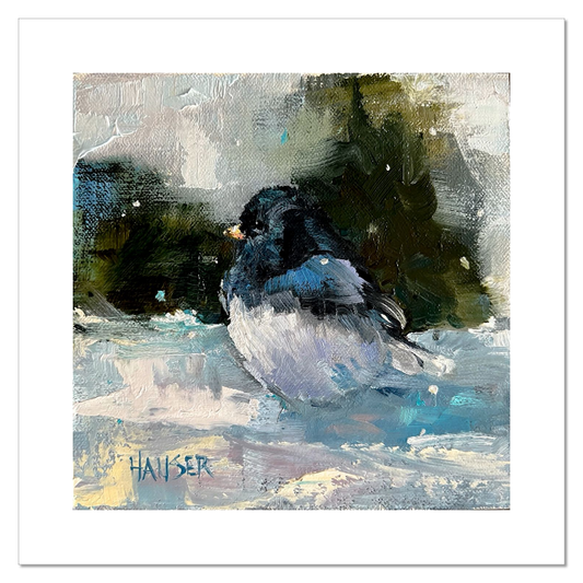 Dark Eyed Junco (Print Reproduction)