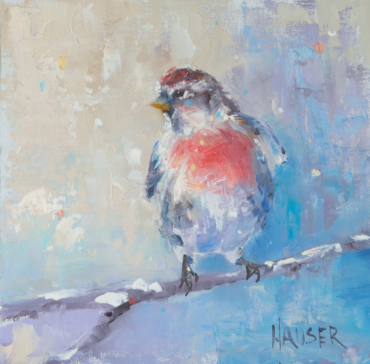 Common Redpoll