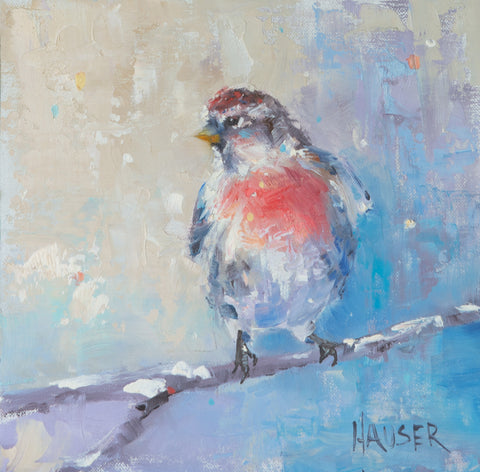 Common Redpoll