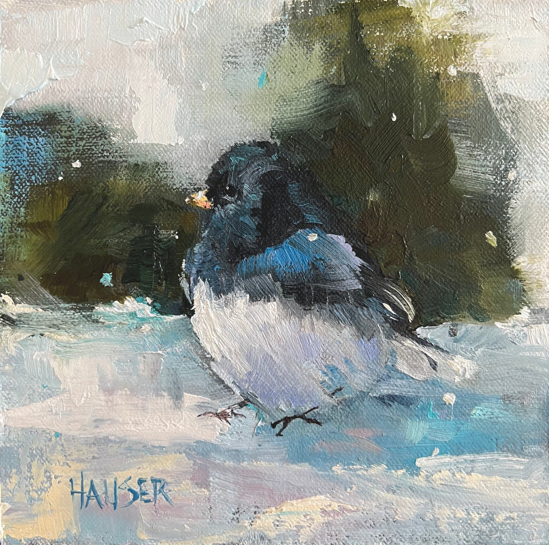 Dark Eyed Junco