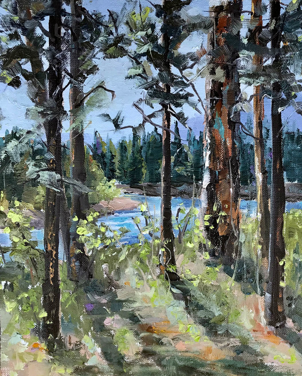 Sunlit Grove