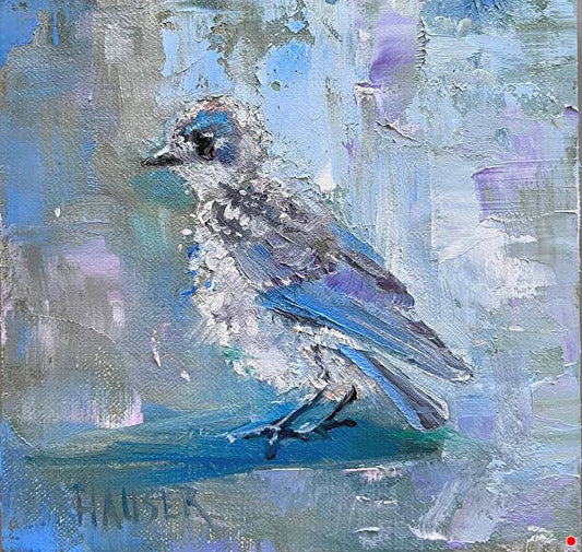 Baby Blue BIrd