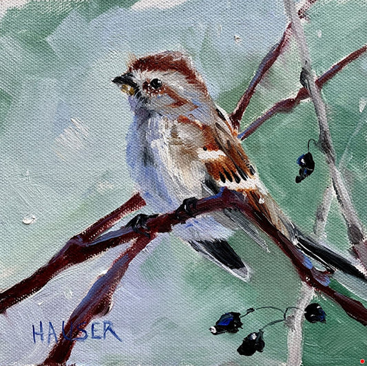 Winter Sparrow