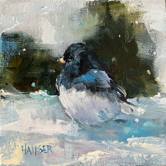 Dark Eyed Junco (Print Reproduction)