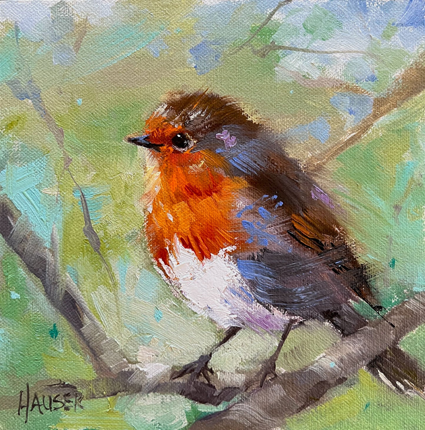 English Robin