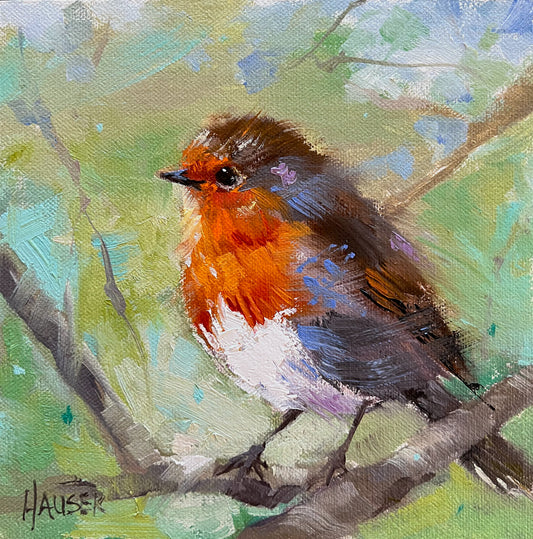 English Robin