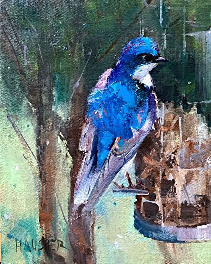 Adult Blue Bird
