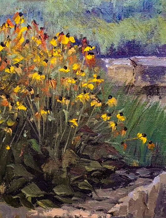 Black eyed Susans on a Sunday Morning