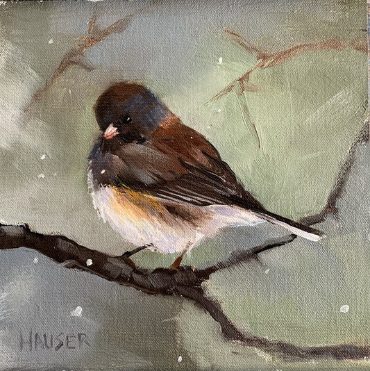 Bossy Little Junco