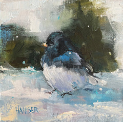 Dark Eyed Junco
