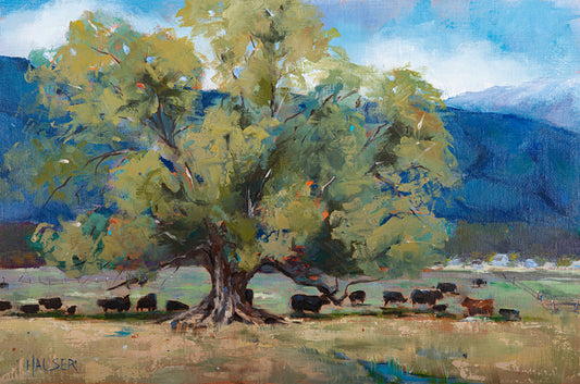 In the Shade of the Cottonwood