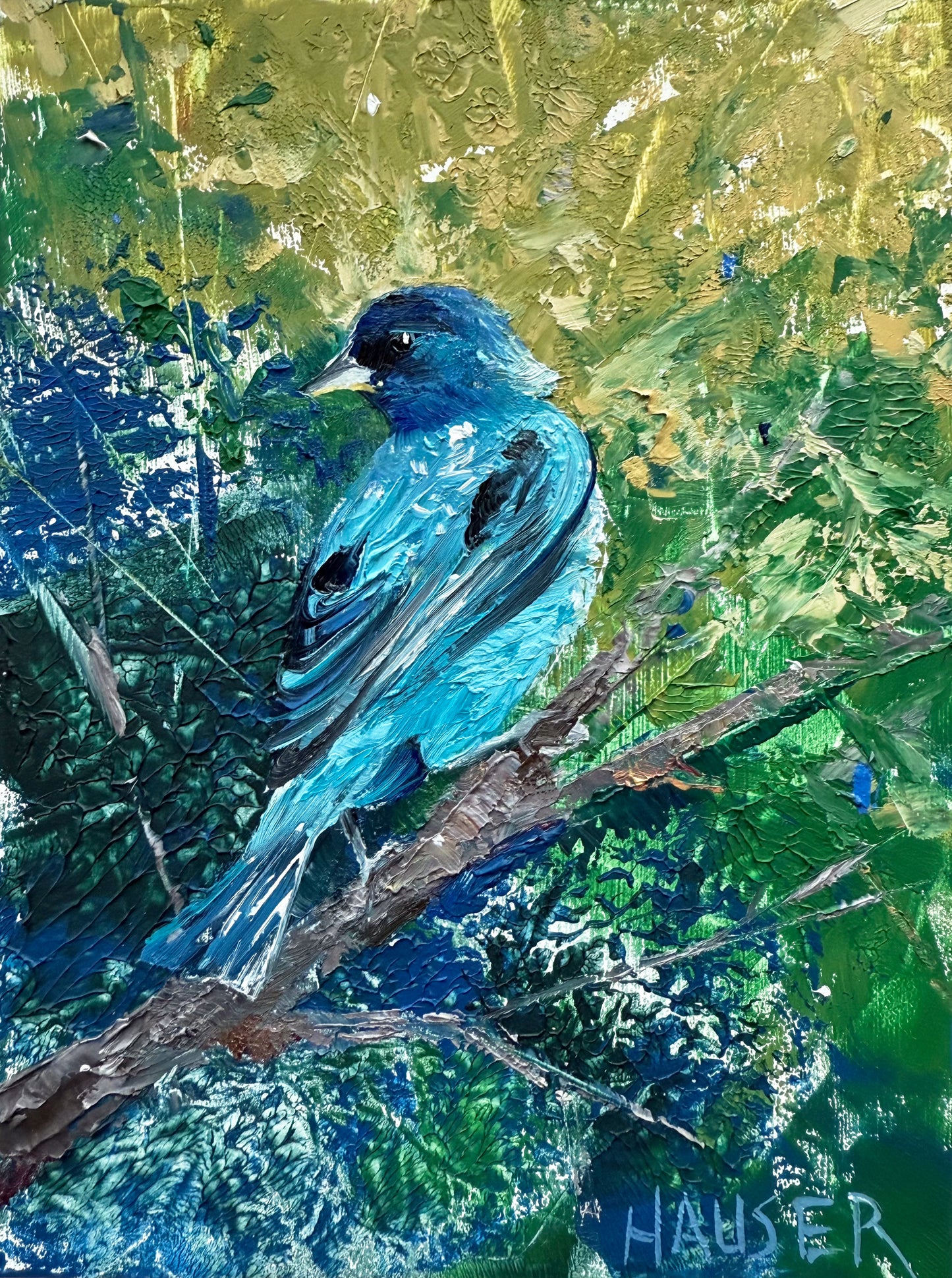 Indigo Bunting