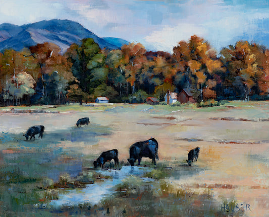 Jackson Wyoming Black Cows