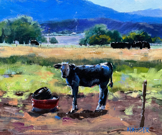 Little Black Cow
