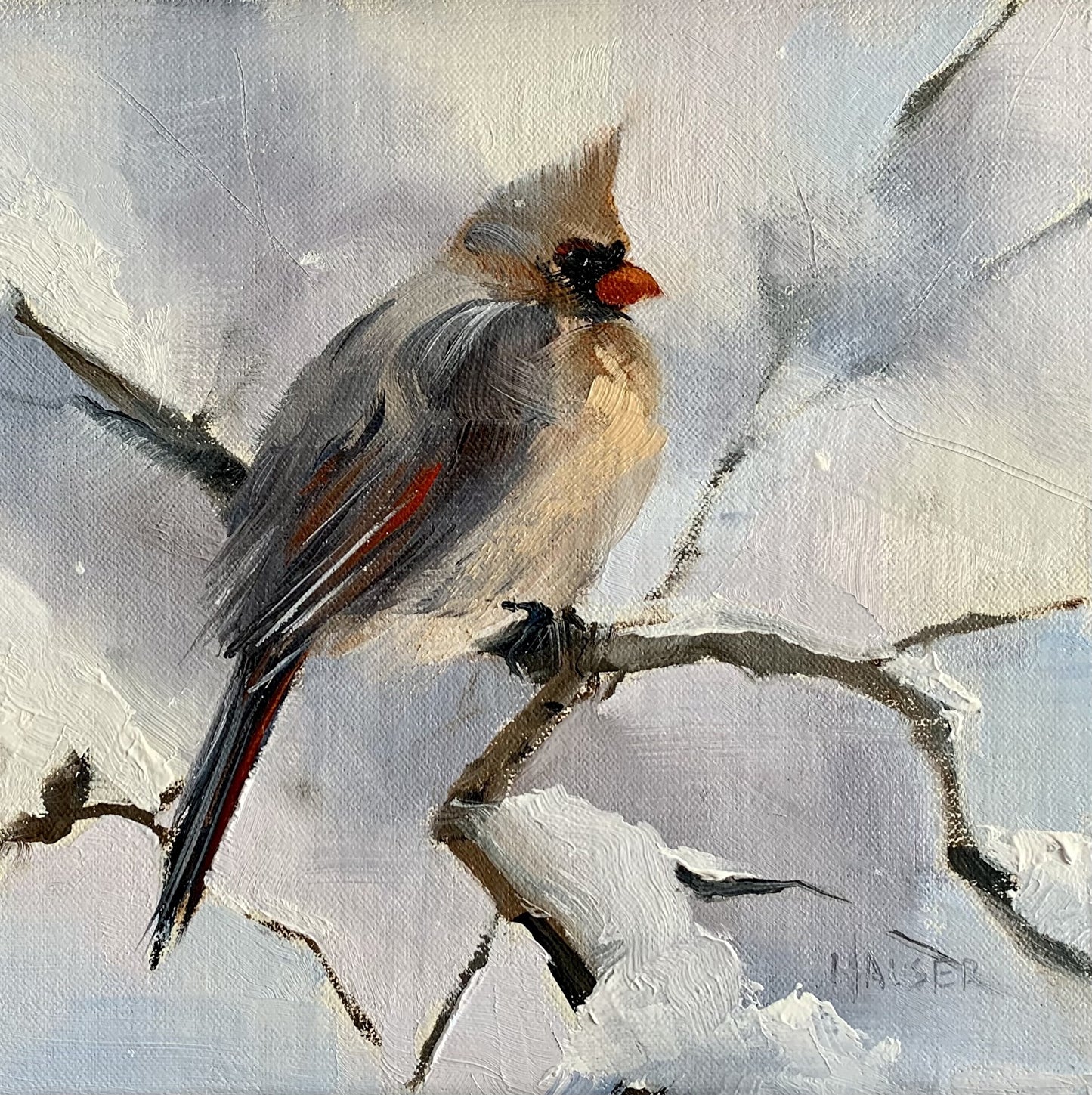 Mama Cardinal