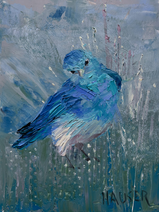 Mountain Blue Bird