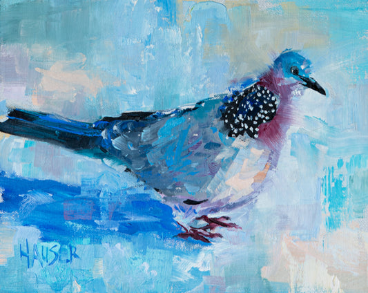 Spotted Dove