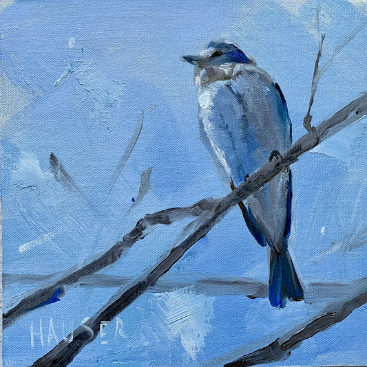 Swallow in Blue